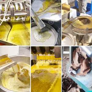 Máquina de Extracción y Prensado de Aceite Vegetal para Semillas de Canola, Soja, Palma y Girasol de Tanzania - Product Image 6