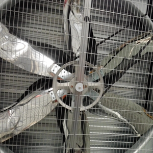 Ventilateur d'extraction industriel triphasé 380V haute pression statique pour entrepôt, salle de sport, cuisine commerciale, élimination de la graisse et des fumées (ventilateur push-pull) - Product Image 2