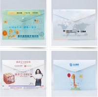 Organizador de Documentos A4 Resistente al Fuego y al Agua, Carpeta Expandible Tipo Acordeón, 32.5x23.5cm, 50g