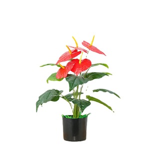 北欧风格人造迷你盆栽室内/室外家居装饰人造绿植落地式盆景塑料盆栽 - Product Image 3