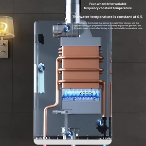<span class=keywords><strong>Chauffe</strong></span>-eau domestique mural au <span class=keywords><strong>gaz</strong></span> naturel à batterie de grande capacité 10L, vente en gros du fabricant - Product Image 5