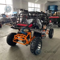 Buggy de plage Caiteng à un siège, essence/électrique, automatique, 200cc, 4x4, avec construction en métal et plastique, capacité de 2 passagers
