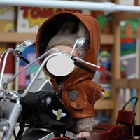 Vêtements seulement, les poupées ne sont pas incluses, les accessoires de poupée, les vêtements de poupée de 15cm et 17cm conviennent aux générations Labubu 1 et 2 et 3
