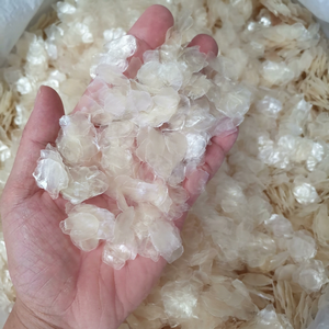 Escamas de Pescado Secas, Escamas de Carpa para Producción// Venta al por Mayor, Vida Útil de 2 Años - Product Image 1