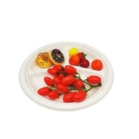 Offre Spéciale Vaisselle jetable personnalisée de 10 pouces Plateau alimentaire en papier écologique à 3 compartiments pour restaurant