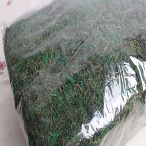 QIHAO Mousse Artificielle Verte 18x24x13cm Fleur en Soie Longue Durée pour Décoration Paysagère - Product Image 4