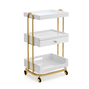 HICOMED <span class=keywords><strong>estetica</strong></span> <span class=keywords><strong>salone</strong></span> <span class=keywords><strong>di</strong></span> bellezza mobili bellezza carrello dentale Multi-funzionale medicale carrello per <span class=keywords><strong>salone</strong></span> <span class=keywords><strong>di</strong></span> bellezza - Product Image 2