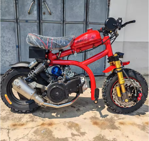 Minimoto de Gasolina de 2 y 4 Tiempos para Niños, Motocross, Motocicleta de Aventura en Miniatura - Product Image 4