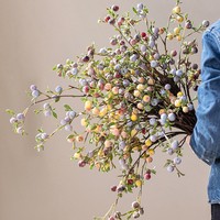 Tuinbouw Fruitversieringen Lange tak Met vorst bedekte mini-appels Grappige planten Kunstmatige bloemen Herfstarrangementen Accessoires