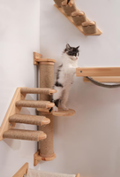 Hamac pour chat en bois, marches murales pour chat, griffoir pour chat