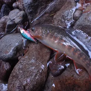 <span class=keywords><strong>Leurre</strong></span> de pêche NM 3d Eyes pour <span class=keywords><strong>truite</strong></span>, type minnow, coulant, 10g, 7cm - Product Image 4