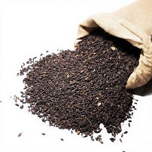 Complément Antioxydant en Vrac : Fruits Entiers Séchés de Terminalia Chebula Noir de la Région Montagneuse de l'Ouest du Maharashtra, Inde - Product Image 1