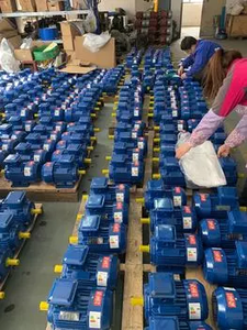 Động Cơ Dòng Y2/Y3 Động Cơ Xoay Chiều Không Đồng Bộ Ba Pha 50Hz 380V 7.5KW Động Cơ Điện 3 Pha - Product Image 6