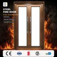 Porte coupe-feu en acier à double battant avec verre, cadre bronze contemporain, vision complète, entrée commerciale, taille personnalisée, fourniture directe usine