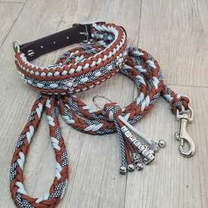 2025 Gemengde Moq Unieke Bruine <span class=keywords><strong>Germany</strong></span> Schotse Hondenhalsband Showleads En Halve Kragen Gebogen Zijsluiting 38Mm - Product Image 1