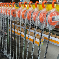 Palans à chaîne manuels de 1 tonne, portée de levage de 12 m, en acier rigide, haute capacité, pour l'industrie minière