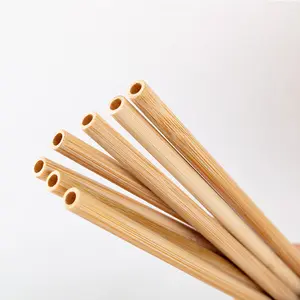 Biodegradable friendly reusable custom engraved laser logo skinless bamboo straw new product ideas 2024