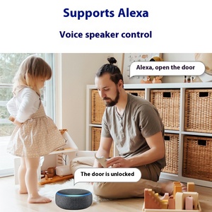 अमेरिकी शैली होम स्मार्ट लॉक के साथ फिंगरप्रिंट और पासवर्ड स्वचालित लकड़ी का दरवाजा लॉक अपार्टमेंट क्लाउड डेटा स्टोरेज विकल्प - Product Image 4