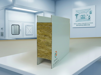 Panneau sandwich en laine de roche ignifuge pour isolation thermique industrielle, cuisine, entrepôt, atelier, toit, mur, CE ISO