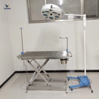 Table d'examen vétérinaire professionnelle en acier inoxydable hydraulique pour animaux de compagnie, instruments vétérinaires