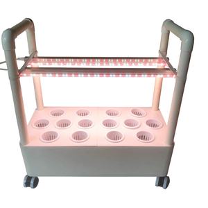 Systèmes de culture hydroponique verticaux pour jardin intérieur, éclairage de culture domestique, en vente - Product Image 4