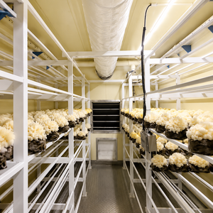 Étagères multi-niveaux robustes à usage commercial, conteneur intelligent automatisé pour la culture de plantes d'intérieur et de champignons - Product Image 3