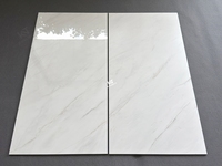 Carreaux de sol en porcelaine effet marbre blanc brillant veiné doré 1,20x0,60 (600x1200)