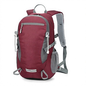 High Quality 40L Lightweight Waterproof Nylon OEM ODM Hiking Backpack Breathable Mountaineering <b>Folding</b> Outdoor <b>Bag</b> - Product Image 3