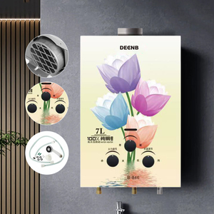 Meilleurs <span class=keywords><strong>prix</strong></span> – Chauffe-eau <span class=keywords><strong>instantané</strong></span> sans réservoir au <span class=keywords><strong>gaz</strong></span>, portable, pour salle de bain, conception OEM - Product Image 1