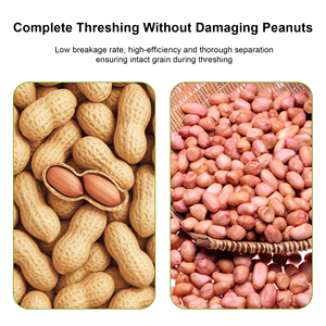 Machine automatique de décorticage d'arachides en acier inoxydable avec fonction de criblage pour le traitement agricole en ferme - Product Image 5
