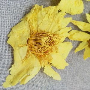 Huang lian hua secchi di Alta qualità giallo fiore di loto <span class=keywords><strong>t</strong></span>è - Product Image 4