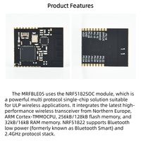 Module BLE 20 dBm 2,4 GHz à faible consommation d'énergie, module personnalisable GFSK SOC, modules sans fil pour balises connectées