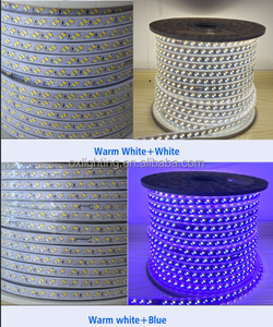 <span class=keywords><strong>220V</strong></span> extérieur étanche Double rangée double blanc chaud blanc <span class=keywords><strong>bleu</strong></span> violet Flexible 120leds 5730 <span class=keywords><strong>LED</strong></span> bande lumineuse <span class=keywords><strong>ruban</strong></span> <span class=keywords><strong>ruban</strong></span> Luz Luce - Product Image 2