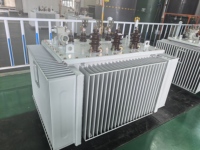 Transformador Trifásico Sumergido en Aceite Zleeg, Transformador de Potencia Eléctrica Elevador/Reductor, Transformador Sumergido en Aceite de 250 KVA a Bajo Precio