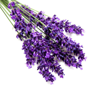 Al por mayor/a granel kg/10 kg/50 kg/100 kg de grado puro aceite esencial de <span class=keywords><strong>lavanda</strong></span> mejor precio - Product Image 2