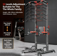 Équipement de gym multifonctionnel pour la maison : Tour de musculation portable et station de dips avec barre de traction réglable en acier