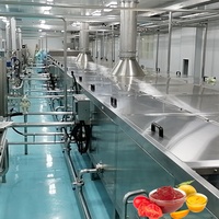 Industriële Tomatenproductielijn Fruitmachine Van Tomatenpuree
