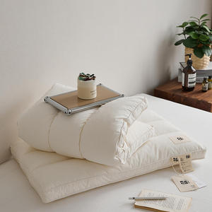 Almohada <span class=keywords><strong>de</strong></span> Alta Calidad con Logotipo Personalizado, Relleno <span class=keywords><strong>de</strong></span> Tela Saludable, Cojín <span class=keywords><strong>de</strong></span> Respaldo para Hoteles Globales - Product Image 5