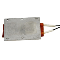 Plaque chauffante PTC Longkey à sécurité anti-brûlure, auto-régulatrice, à température constante, élément chauffant en aluminium 100W-8000W 110V