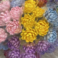Fleur de Nénuphar en Bois Sola de Haute Qualité, 10 cm, Naturelle, Séchée, Écologique, Longue Durée, Décoration pour le Nouvel An Chinois