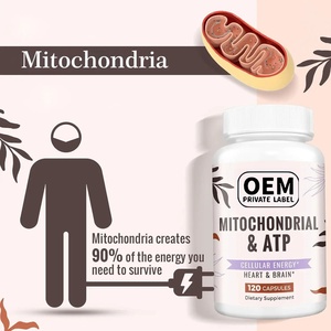 Cápsulas de ATP mitocondriales <span class=keywords><strong>para</strong></span> combatir la fatiga, <span class=keywords><strong>el</strong></span> complejo de vitamina B orgánico más vendido de OEM - Product Image 5
