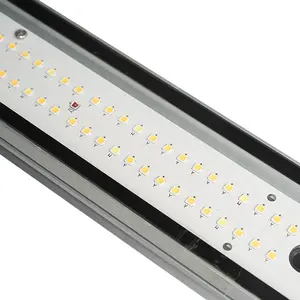 Shenzhen 16 Years OEM LED Factory 320W 600W 800W 730nm Far Red Led Grow Lights Strip Lamp Bar Hydroponic with Wholesale Price