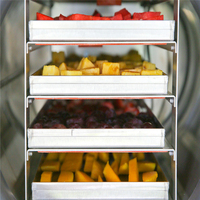 Machine de lyophilisation industrielle TCA XINDAXIN pour aliments lyophilisés, poudre de gelée royale et bonbons lyophilisés