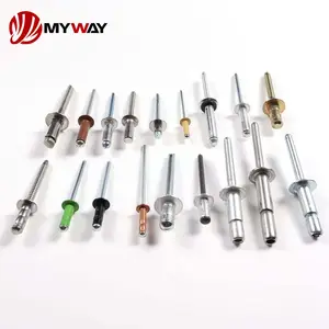 Tùy chỉnh din7337 nhôm thép gốc phá vỡ Pop mù đinh tán mở loại mù đinh tán màu đen sơn mái vòm đầu mù Pop đinh tán