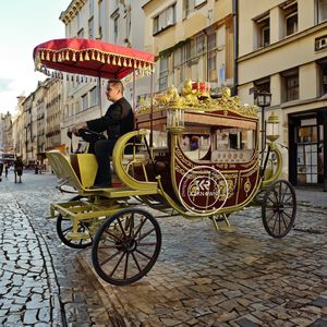 2025 Perfect Royal Horse Carriage Beautiful Phaeton Classical Royal Horse Carriage Wedding Sightseeing <b>Cart</b> - Product Image 4