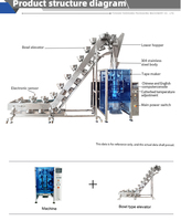 Machines d'emballage verticales multifonctions avec godet à chaîne pour l'emballage de 1 kg (26 oz) de viande congelée, poulet, légumes, nouilles et autres aliments