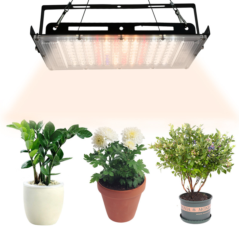 Led Grow Light Full Spectrum Greenhouse