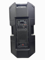 Enceinte en bois 2 voies de 15 pouces, 500W RMS, amplification bi-amplifiée classe D, pour sonorisation PA, DJ, fêtes en extérieur et scènes live