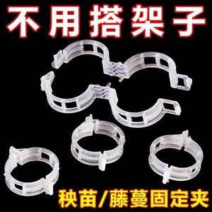 Clips de plástico para atar plantas, 2,5 cm de diámetro, para plantas trepadoras y plántulas, accesorio para herramientas de jardín - Product Image 5