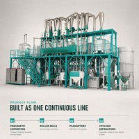 Usine de mouture de blé 50TPD, ligne de production de farine industrielle, ensemble complet de machines à moudre le blé à vendre